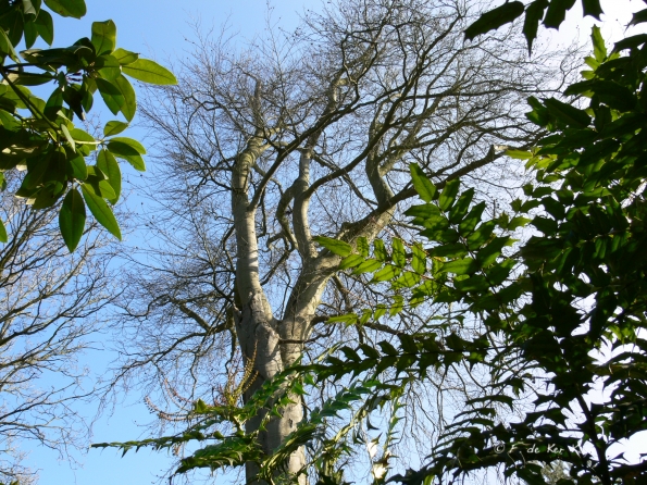 Moutiers (14) mars 2012